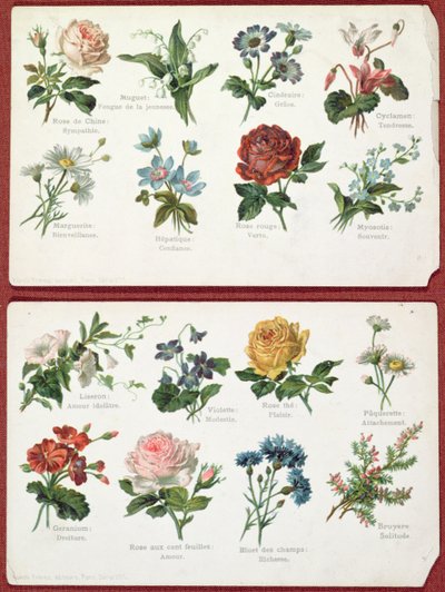 Postkarten, die die Sprache und Bedeutung der Blumen darstellen, ca. 1905 von French School