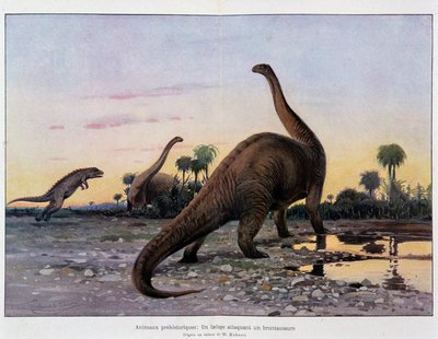 Prähistorische Tiere: ein Laelaps greift einen Brontosaurus an - in „Das Universum und die Menschheit“ von French School
