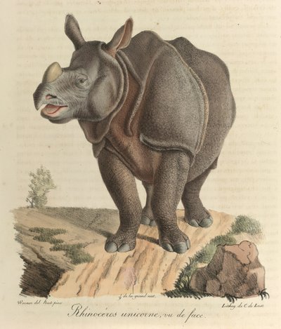 Einhorn-Nashorn, aus 