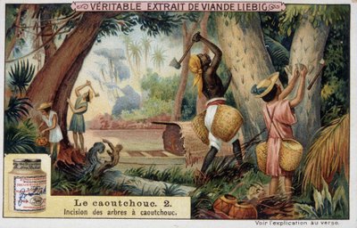 Gummi: Einschnitt von Gummibäumen - Chromo Liebig von French School