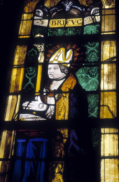Saint Brieuc - Glasfenster der Kirche Saint-Sauveur von Dinan von French School
