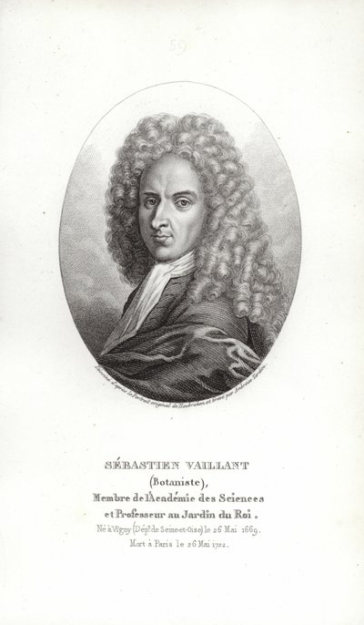 Sébastien Vaillant von French School