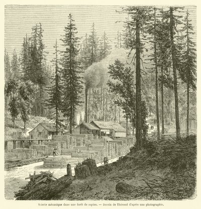 Mechanische Sägemühle in einem Tannenwald (Gravur) von French School