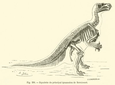 Skelett des Haupt-Iguanodon von Bernissart von French School