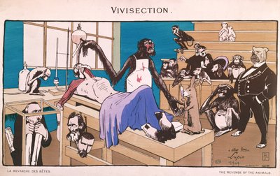 Die Rache der Tiere, Karikatur der Vivisektion, 1909 von French School