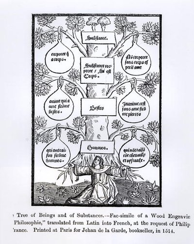 Der Baum der Wesen und Substanzen, gedruckt 1514, Illustration aus Wissenschaft und Literatur im Mittelalter und in der Renaissance, geschrieben und graviert von Paul Lacroix, 1878 von French School