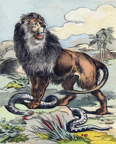 Der Löwe. Gravur in "Buffon Alphabet des Animaux" von French School