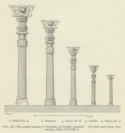 Die verschiedenen Säulen in Persepolis und Istakhr im Vergleich von French School