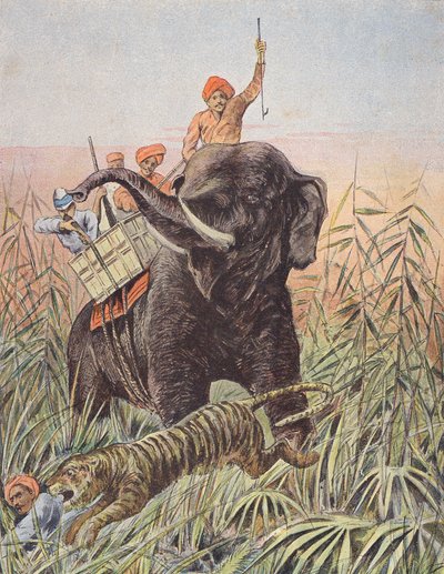 Tigerjagd, Indien von French School
