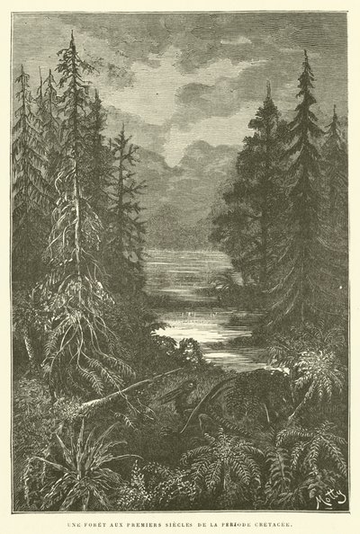 Ein Wald in den ersten Jahrhunderten der Kreidezeit von French School