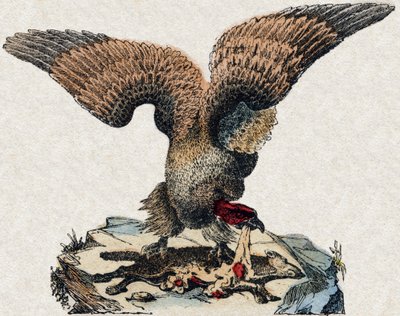 Geier. Gravur in "Alphabet des animaux sauvages". 9. Serie. Bildersammlung von Epinal, Pellerin, Drucker-Verleger, um 1870. Holzschnitte, schabloniert. 16 Seiten. Dim: 20 x 15 cm. Private Sammlung von French School