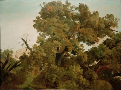 Eiche von Friedrich Nerly