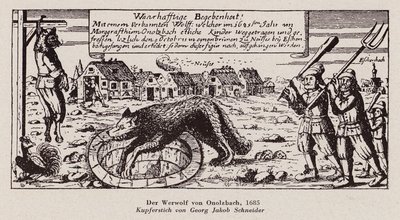 Der Wolf von Ansbach von G.J. Schneider