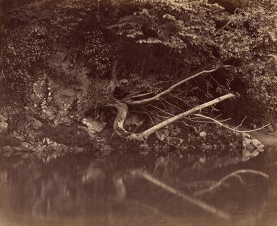 Flussufer im Tal von Neath, ca. 1855 von G. B. Gething