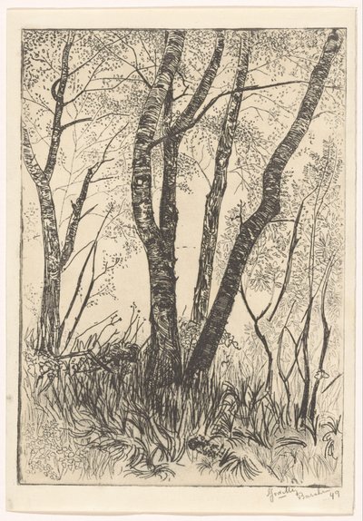 Bäume im hohen Gras von G. van der Mey (signed by artist)