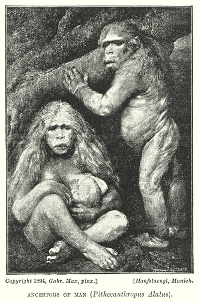 Vorfahren des Menschen, Pithecanthropus Alalus von Gabriel Max