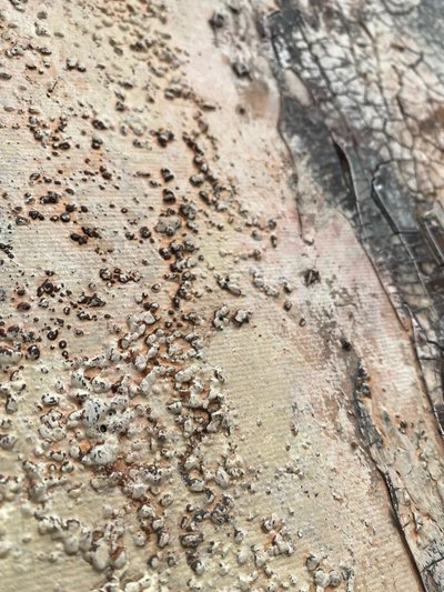 Verwitterte Organische Texturen von Gabriela Aleksandra Szuba