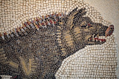 Römisches Mosaik von Gallo-Roman