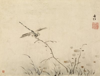 Libelle von Gao Qipei