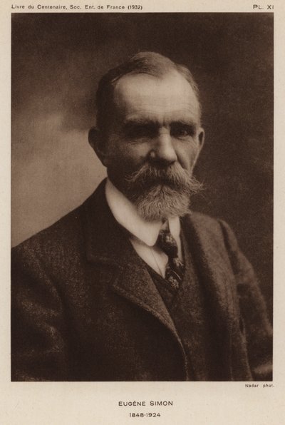 Eugene Simon, französischer Naturforscher, Entomologe und Taxonom von Spinnen (s/w Foto) von Gaspard Felix Tournachon Nadar