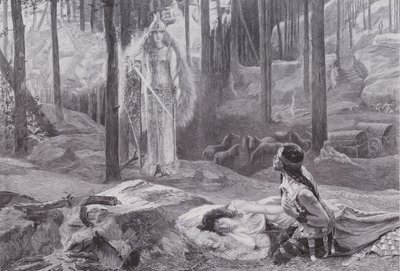 Die Offenbarung (Brunnhilde entdeckt Sieglinde und Siegmund) von Gaston Bussiere