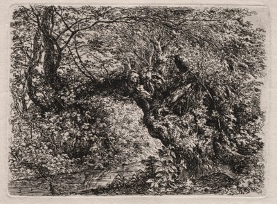Die alte Weide an einem Bach, 1794 von Georg von Dillis