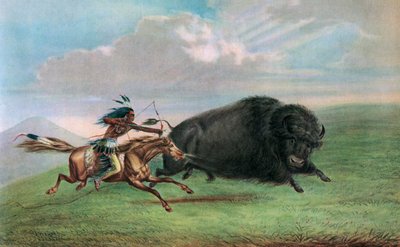 Druck nach Buffalo Hunt von George (after) Catlin