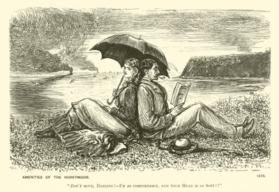 Annehmlichkeiten der Flitterwochen (Gravur) von George (after) Du Maurier