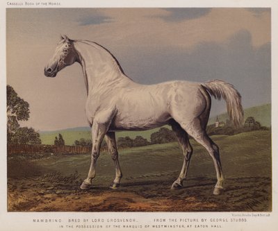 Nambrino, gezüchtet von Lord Grosvenor, im Besitz des Marquis von Westminster, in Eaton Hall von George (after) Stubbs