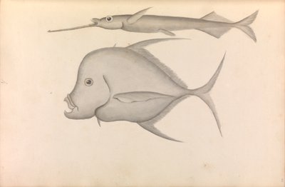 Bericht über die Weltreise von Commodore George Anson von George Anson