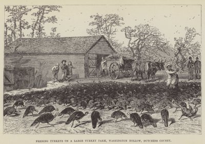 Fütterung von Truthähnen auf einer großen Truthahnfarm, Washington Hollow, Dutchess County von George Augustus Sala