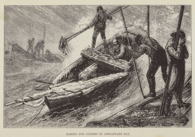 Austernrechen in der Chesapeake Bay von George Augustus Sala
