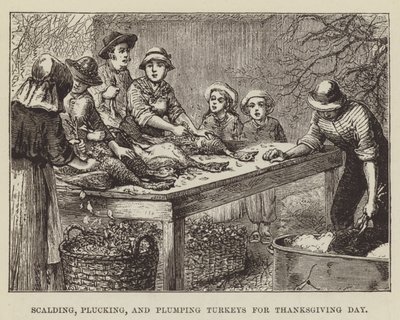 Schälen, Rupfen und Plumpen von Truthähnen für Thanksgiving von George Augustus Sala