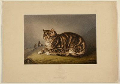 Kätzchen beim Nickerchen von George Baxter