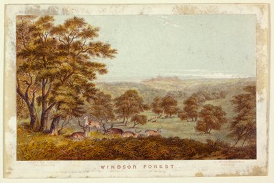 Windsor Forest (Taschenbuchversion) von George Baxter