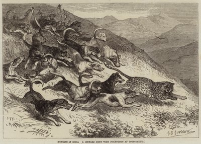 Jagd in Indien, eine Leopardenjagd mit Foxhounds in Ootacamund von George Bouverie Goddard