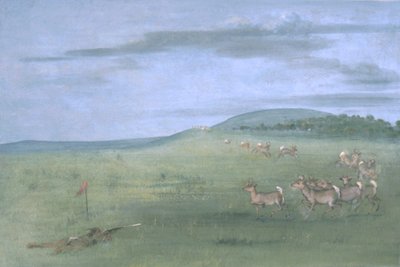 Antilopenjagd, angelockt von George Catlin
