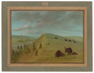 Zedernklippen von George Catlin