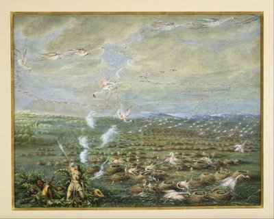 Flamingojagd in Südamerika von George Catlin