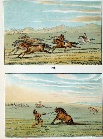 Indianer Amerikas: Wie man Wildpferde fängt. Illustration von George Catlin (1794-1872) von George Catlin