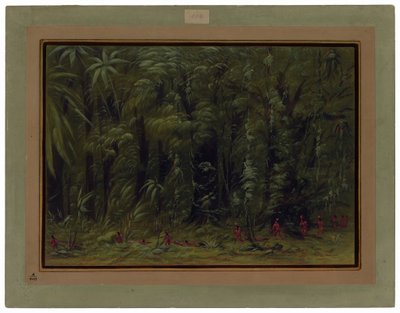 Inneres eines Amazonaswaldes - Zurumati von George Catlin