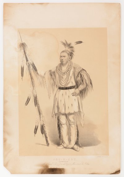 Joc-o-sot, der wandelnde Bär von George Catlin