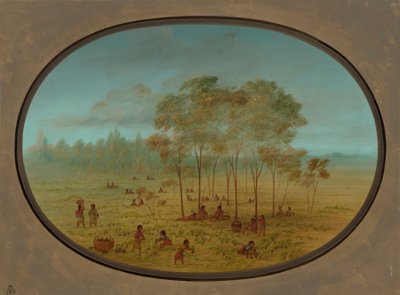 Kiowa-Indianer sammeln wilde Trauben von George Catlin