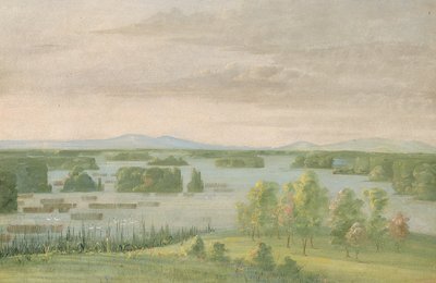 Schwanensee (Lac du Cygne), nahe dem Coteau des Prairies von George Catlin