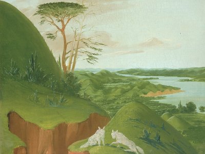 Flussklippen mit weißen Wölfen im Vordergrund, Oberer Missouri von George Catlin