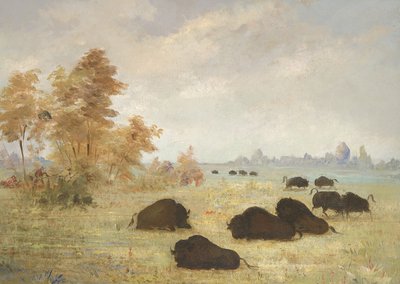 Büffel jagen, Arkansas von George Catlin