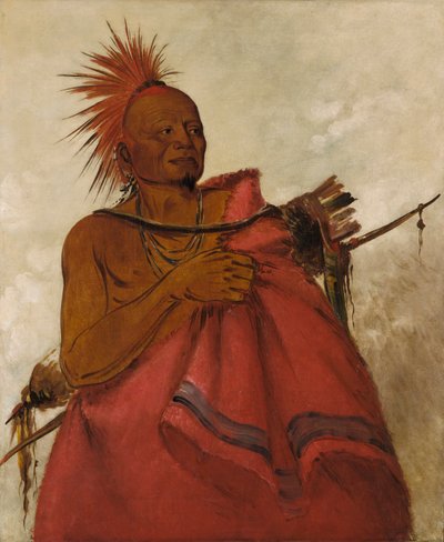Tcha-tó-ga, Verrückter Büffel, Mörder von zwei weißen Männern von George Catlin
