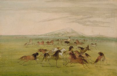 Wilde Pferde beim Spielen von George Catlin