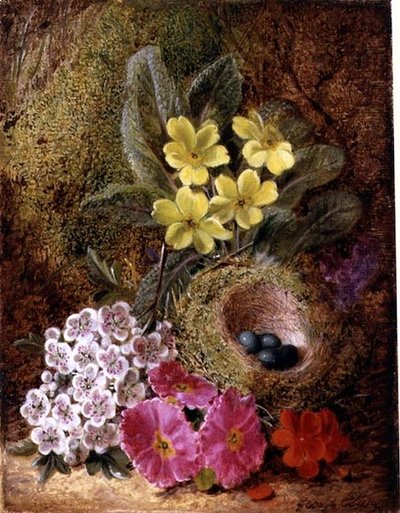 Stillleben mit Vogelnest und Primeln von George Clare