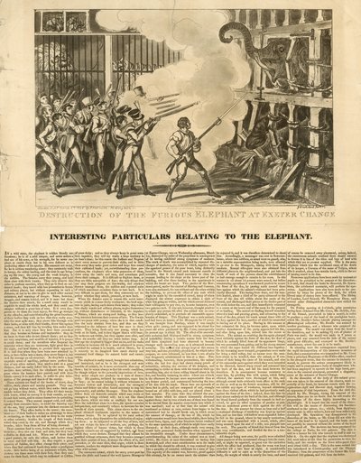 Zerstörung des wütenden Elefanten bei Exeter Change von George Cruikshank